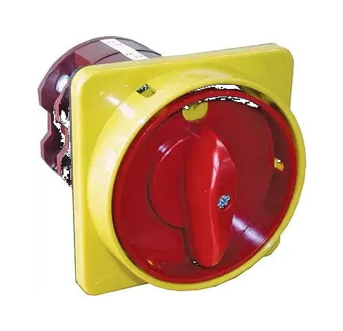 Cam switch CS 25 91 U LK 004773062