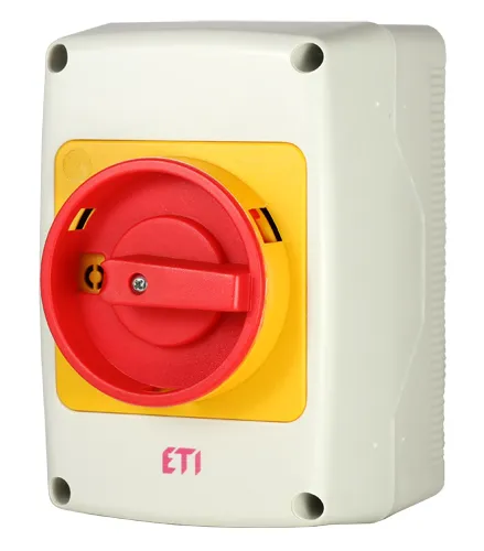 Cam switch CS 25 91 PNGLK 004773176